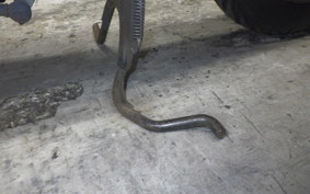 HONDA GIORCUB 2013 AF53