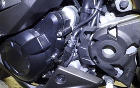 KAWASAKI NINJA 1000SX 2024 ZXT02K