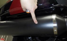 HARLEY FLTRXSTSE1980CVO