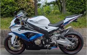 BMW S1000RR 2015 0D10