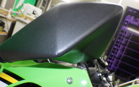 KAWASAKI NINJA ZX-6R A 2025 ZX636J