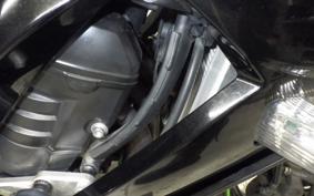 KAWASAKI NINJA 1000 2012