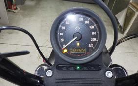 HARLEY XL1200NS 2019