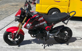 HONDA GROM JC61