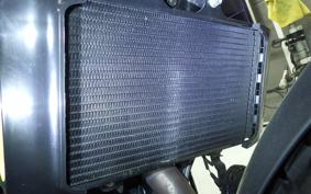 HUSQVARNA SVARTPILEN 401 2021