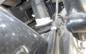 KAWASAKI NINJA 250 ABS EX250L