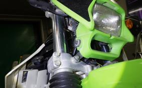 KAWASAKI KDX220SR 2019 DX220B