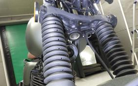 OTHER MUTT ヒルツ250