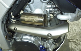 YAMAHA WR250R 2019 DG15J