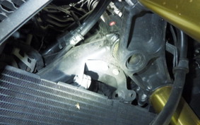 HONDA X-ADV 750 2021 RH10