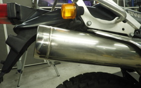 KAWASAKI SUPER SHERPA 2023 KL250G