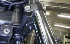 HONDA REBEL 250 A 2007 MC49