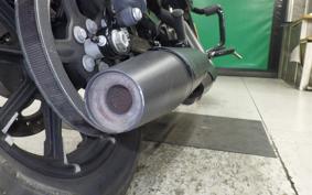 HARLEY XL883N 2020