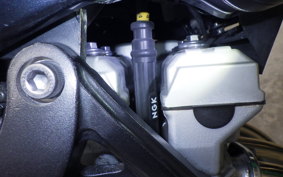 YAMAHA ZEAL 2018 3YX