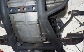 KAWASAKI KLX250D TRACKER X 2021 LX250V