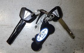 KAWASAKI Z250 EX250Y