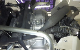 HONDA C110 SUPER CUB