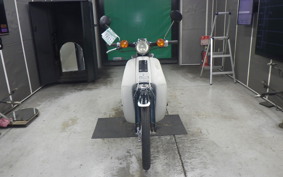 HONDA C90 SUPER CUB 2024 HA02