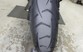 TRIUMPH TIGER 900 GT PRO 2024