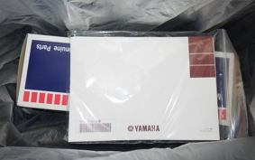 YAMAHA CYGNUSｸﾞﾘﾌｧｽ 2021 SEJ4J