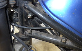 SUZUKI GOOSE 250 NJ46A