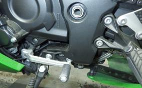 KAWASAKI ZX 1400 NINJA R A 2014