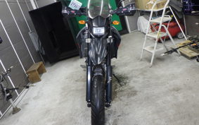 YAMAHA WR250X 1994 DG15J