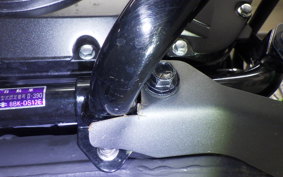 SUZUKI Vｽﾄﾛｰﾑ250A 2021