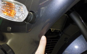 YAMAHA YZF-R15 2000 RG86J