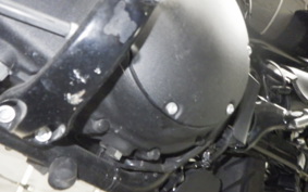 HARLEY XL1200NS 2018