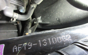 HONDA MANY CTOR AF79