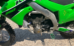 KAWASAKI KX250