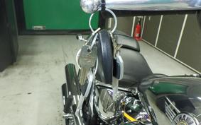 HARLEY FLSTFI1920 2025