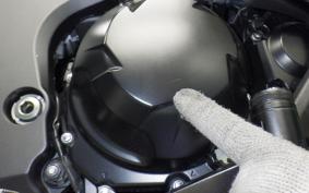 KAWASAKI NINJA 1000SX 2024 ZXT02K