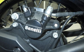 BENELLI TRK502X 2025