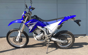 YAMAHA WR250R DG15J