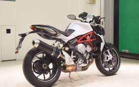 MV AGUSTA BRUTALE 800 A 2022