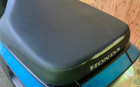 HONDA DUNK AF78