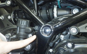 KAWASAKI Z900RS 2024 ZR900K