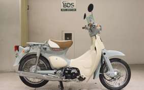 HONDA LITTLE CUB E AA01