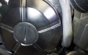 KAWASAKI VERSYS-X 250 A LE250D