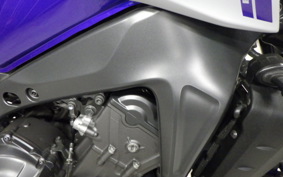 YAMAHA MT-09 2021 RN69J