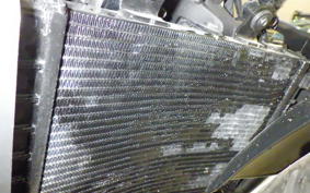 HARLEY RH975 2022