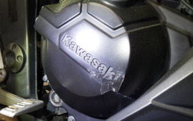 KAWASAKI NINJA 250 2019 EX250L