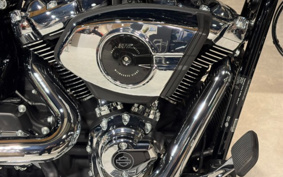 HARLEY FLFB 2025 YF9