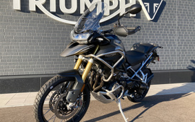 TRIUMPH TIGER 1200GT PRO 2024 TAP20V