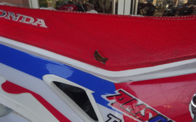 HONDA CRF250 RALLY ME10