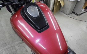 KAWASAKI ELIMINATOR 250 SE 2021 EL250A