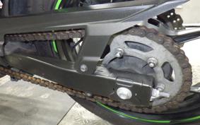 KAWASAKI NINJA 250 EX250L