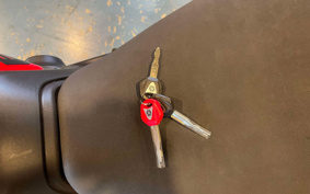 HARLEY  HARLEY FXBR BREAK  OUT 117 2025 YEZ